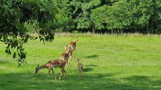 SavannaSkies Stays - 9