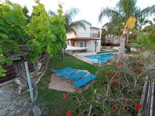 SIRENS BEACH GREEN VILLA Licence Number 00792 - Sotira - 4