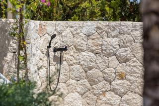 La casa Escaniana - 8