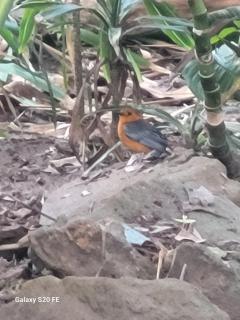 Clansthal beach get away - 9