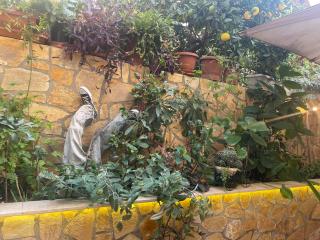 Eleonora's Hidden Gem - Athens - 8