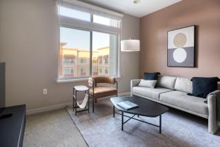 Dublin 1br w parking gym ac nr shopping SFO-1460 - Dublin - 0
