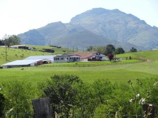 Pena plata - Sare - 8
