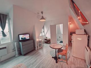Location saisonnière, meublée, appartement type studio à Sèvres - Sèvres - 2