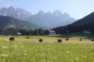 Mühlradl Apartments Gosau - Gosau - 6