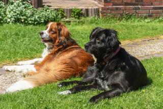 Ferienhof Deich in Sicht - 7