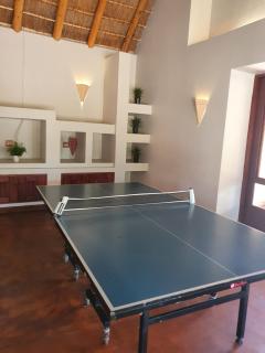 Zebula Golf and Wildlife Estate - Kudu's Bark Pax 12 - Moi Signature Luxury villa - Mabula - 6