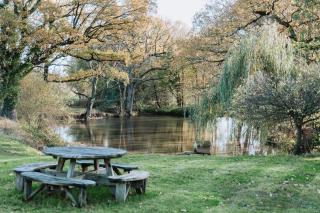 NEW Cosy cottage - Lake view & Log Burner - Dog proof garden - Rolvenden - 3