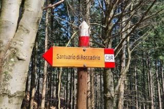 Villetta con ampio giardino - 3