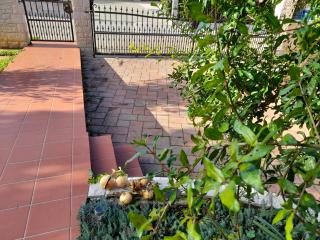 Studio appartman Iva - 9