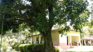 Casa de campo inteira privada-região de Itu/Sorocaba - 5