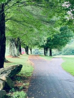 “Serenity” WALK to Resort - BEST local verified - Sugar Mountain - 5