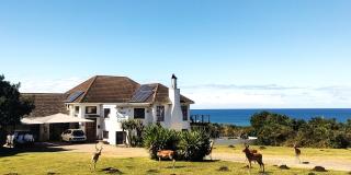 Cove View B&B - East London - 9