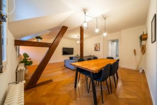 Old town apt in the heart of Thun with garden - Thun - 8