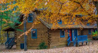 Wilderness Presidential Resort - Spotsylvania - 2