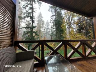 Chalet Amik - Buşteni - 8