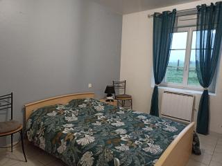 chambre chez l'habitant proche circuit 24 h - Saint-Biez-en-Belin - 9