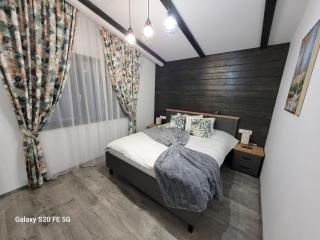 Chalet Amik - Buşteni - 1