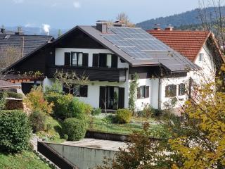 Apartman Ksenija Delnice - Delnice - 0