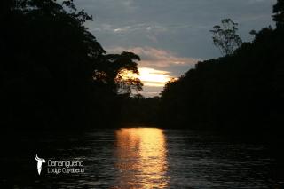 Tour Cuyabeno - Canangueno Lodge - Puerto Montúfar - 3