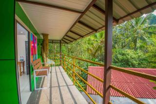 NUTMEG COUNTY THABORE - Paithalmala - 4