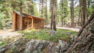 The Iris Cabin #1 at Blue Spruce RV Park & Cabins - Tuckerville - 9