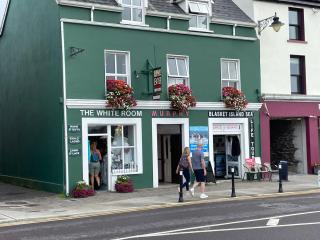 Murphy's Guesthouse - Dingle - 0