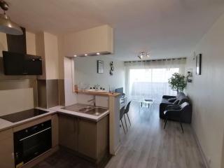 LE GREY-JARDIN DES PLANTES-CENTRE DES CONGRES - Angers - 9