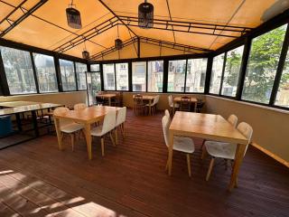 Villa Pasha Tirana - Tirana - 4