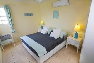 3 bedrooms luxurious pool house centrally located close to everything - Saint Philip - 2