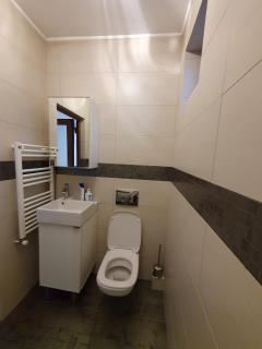Vila Vati - Arena Pitesti - 2