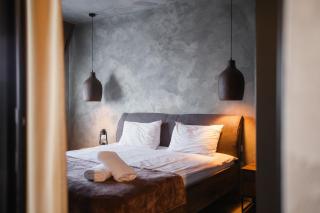 Moon-Stone Loft - Oradea - 8