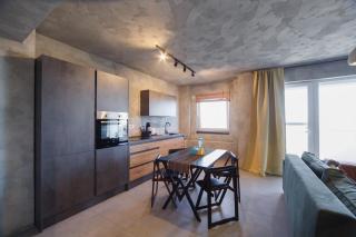 Moon-Stone Loft - Oradea - 1