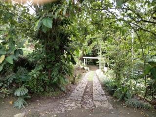 Hotel Green Mountain turrialba - Turrialba - 9