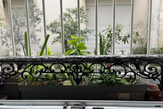 Charming apartment in the heart of Paris - París - 8