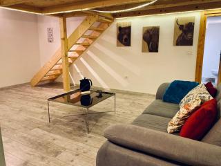 Central Cluj Loft - 5