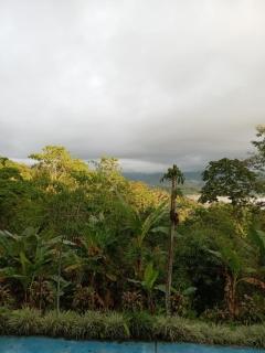 Hotel Green Mountain turrialba - Turrialba - 1