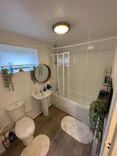 Luxury 2 bedroom apartment! - Thornton Heath - 3