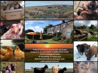 Stones Cottage Farm, nr Haworth, family friendly, work friendly, gaming barn, crafting, free wifi, free parking, EV point - Oxenhope - 8