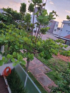 Apto amplo e confortável - 7