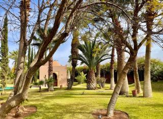 Dar Zeitoun - Marrakesh - 8