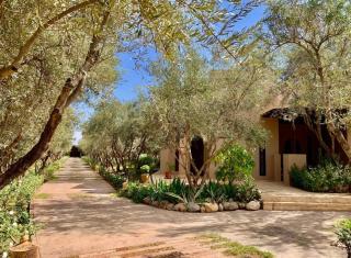 Dar Zeitoun - Marrakesh - 5