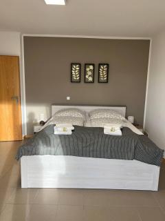 Sunset Apartment mit Rheinblick in Urbar - Urbar-Mayen-Koblenz - 9