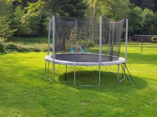 Gîte familial avec piscine, idéal pour randonnées et pêche, proche Gérardmer et crêtes vosgiennes - FR-1-589-238 - 6