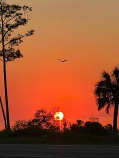 Bayfront, Water View, 5 min to Beach, Pet Friendly - Eastpoint - 4