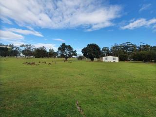 Kalgan River Chalets and Caravan Park - 1