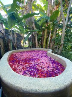 Pura8ocho - Canggu - 9