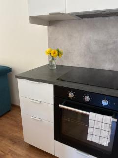 Apartmán OLOMOUC - SAMOTIŠKY - Olomouc - 4