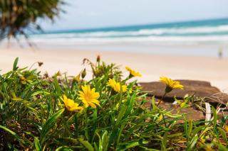 Fuller Holidays - Belongil Beachside Cottage - 5