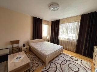 The Chestnut Apartments - Апартаменти Кестените - Velingrad - 3